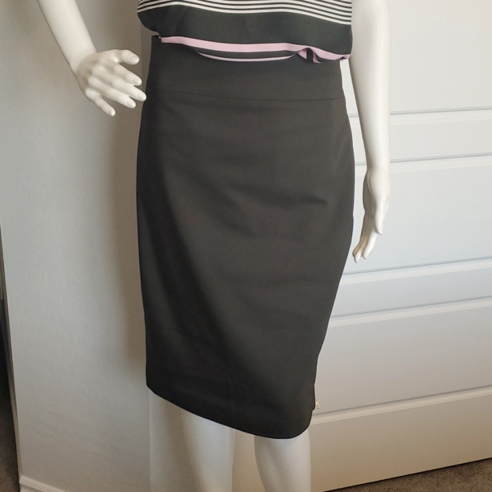 NWT Express skirt
